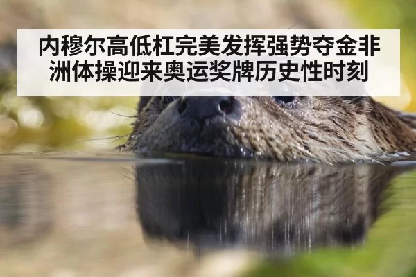 内穆尔高低杠完美发挥强势夺金非洲体操迎来奥运奖牌历史性时刻