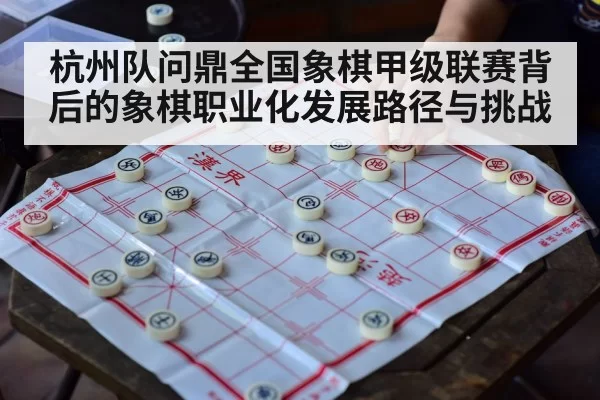杭州队问鼎全国象棋甲级联赛背后的象棋职业化发展路径与挑战